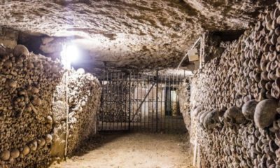 Les Catacombes de Paris © Stas Guk