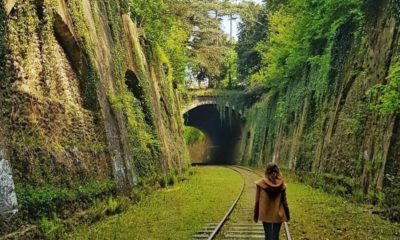 Tout savoir sur la Petite Ceinture