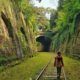 Tout savoir sur la Petite Ceinture