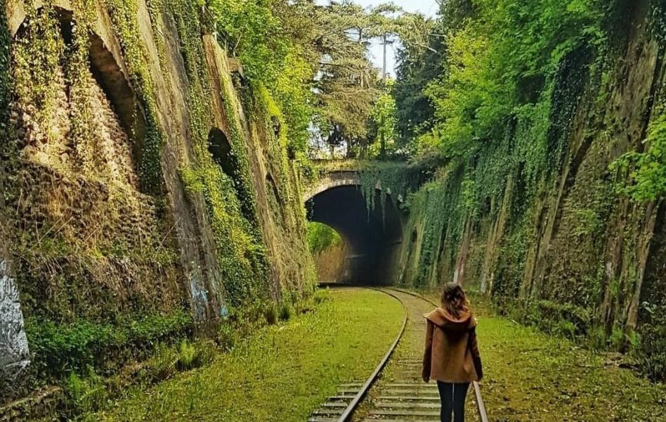 Tout savoir sur la Petite Ceinture