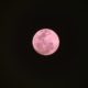 pleine lune rose paris