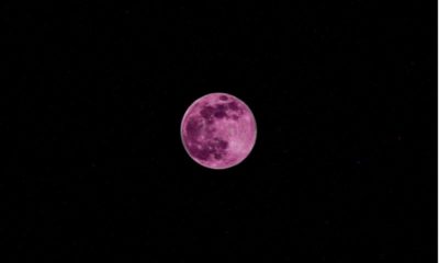 paris lune rose