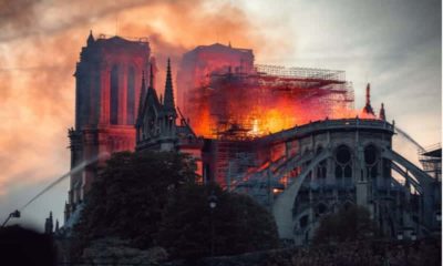 cathedrale notre dame de paris travaux