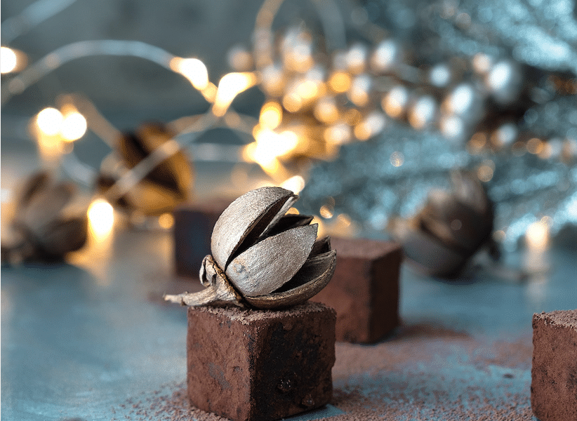 Meilleurs chocolatiers ede Paris © Helena Yankovska Unsplash