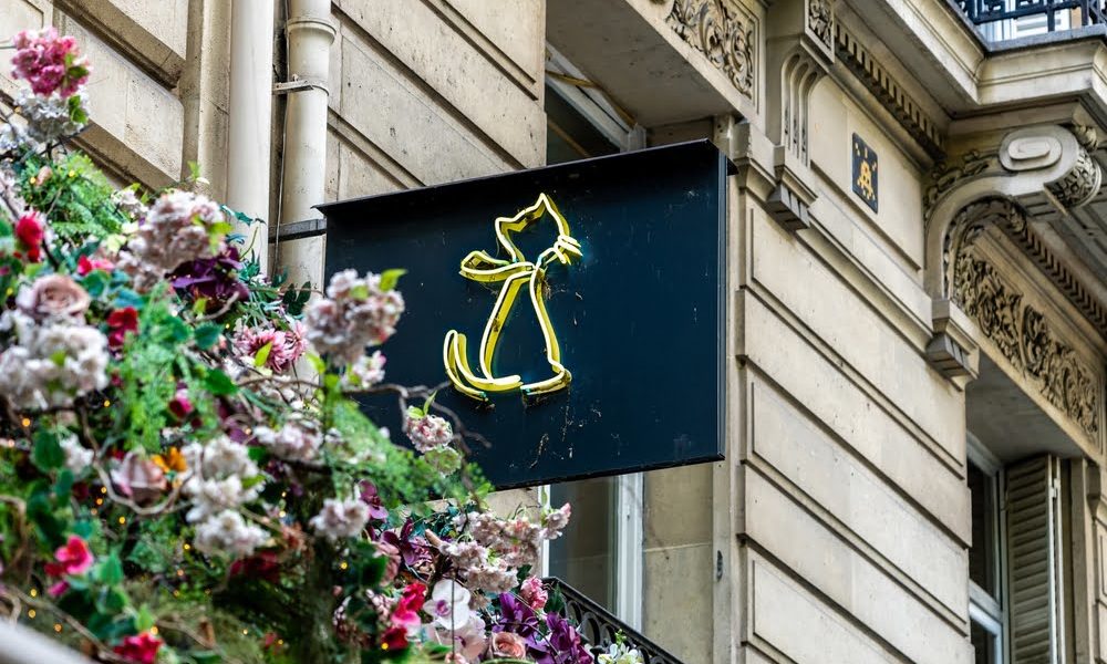 Enseigne de chat, Paris © Romuald_KL