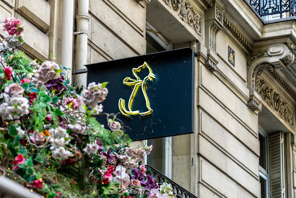 Enseigne de chat, Paris © Romuald_KL