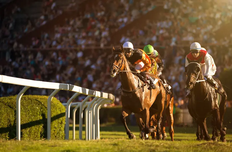 Hippodrome de Longchamp © Vladimir Hodac