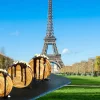 New York Roll : les meilleures pâtisseries à Paris qui en vendent