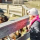 Devenez soigneur d’un jour dans une ferme à Paris