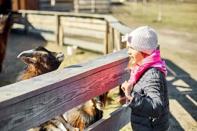 Devenez soigneur d’un jour dans une ferme à Paris