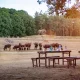 Dîners safari © Zoo de Thoiry