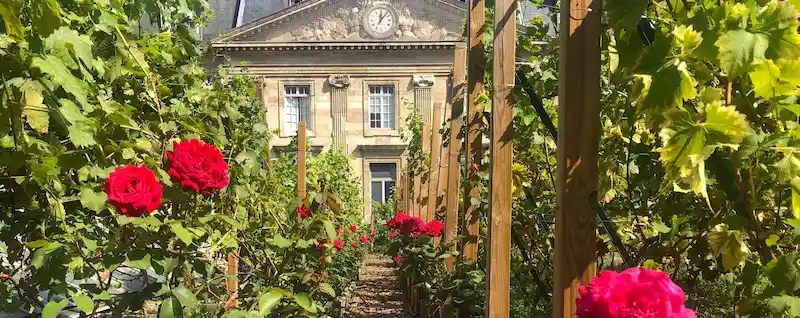 Premier vignoble en toiture de Paris © UrbAgri