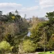 Paris, champion de la biodiversité urbaine ? Un bilan positif