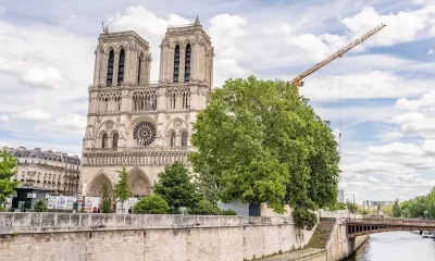 Notre-Dame de Paris : De Hugo à aujourd'hui