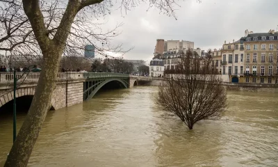 Paris se prépare face à la hausse du niveau de la Seine